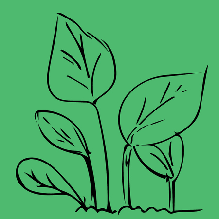 Hand drawing leaf green backgroundのイラスト素材