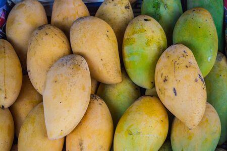 mangoes in the marketの写真素材