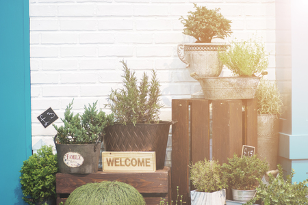 fresh flowers and potted plants on sale.の写真素材