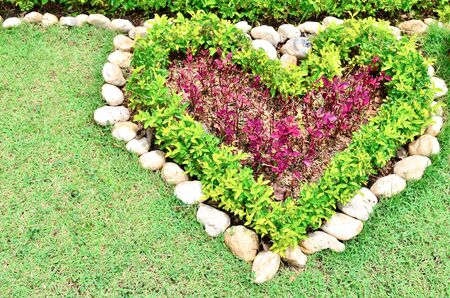 Heart shaped by tiny tree and green glassの写真素材