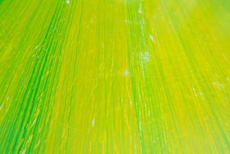 a texture of a green wallの写真素材