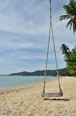 View of tropical beach with Old Swing Tied to treeの写真素材