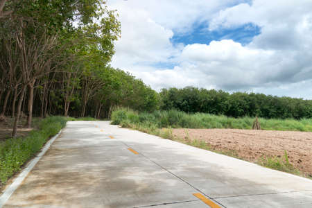 Concrete road that goes straight ahead and at the end of the road is a curve. Beside with rubber trees and land area prepared for farming. Under blue sky and white clouds.の写真素材
