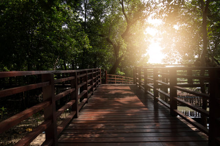 Red wooden bridge walkway leading straight out of the mangrove forest. Leaves and branches cover dense shade. At Phra Chedi Klang Nam, Pak Nam, Rayong, Thailand.の写真素材