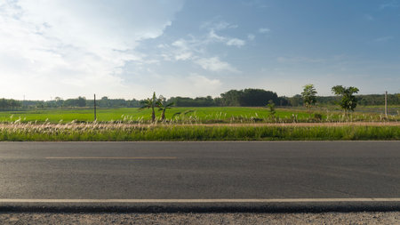 Horizontal view of asphalt road in Thailand. Background of parallel ground path and green rice fields and trees with electric pole. Under the blue sky.の写真素材