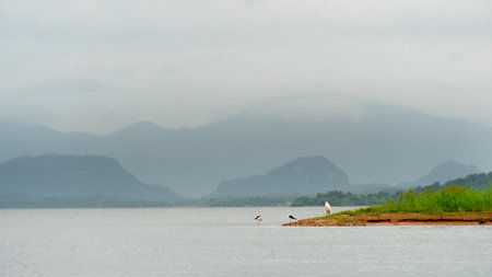 Landscape view of island area is covered with lush grass on river or reservoir. Name of Pra Sae Reservoir. Tricky bird on the beach. Background of distant mountains shrouded in misの写真素材