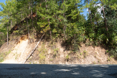 Horizontal view of asphalt road under the shade. background is a mountain ridge covered with trees. At Rak Chang Viewpoint, Pai, Mae Hong Son, Thailand.の写真素材