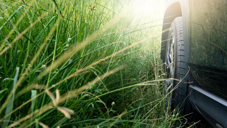 Abstract under view of the side of a navy blue car. Driving through the lush green grass.の写真素材