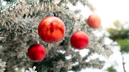 Red Christmas ornaments hanging on a snow of pine tree. Flocked pine tree branch evoking festive holiday cheer and winter decoration.の写真素材
