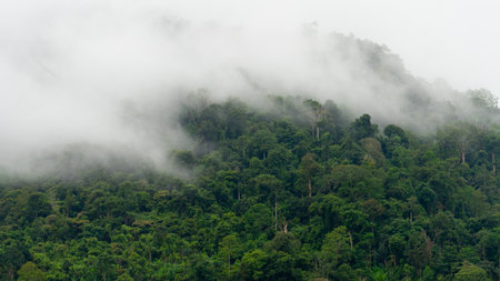 Close up of nature with this stunning footage. Moment when soft white clouds slowly drift over lush...