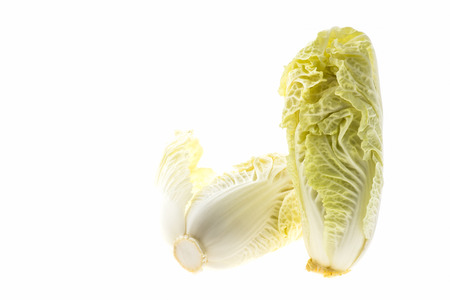 fresh chinese cabbage on white backgroundの写真素材