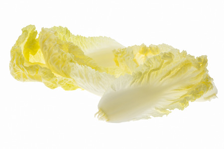 fresh chinese cabbage on white background