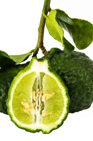 kaffir lime fruit isolated on white background  bergamot herb の写真素材