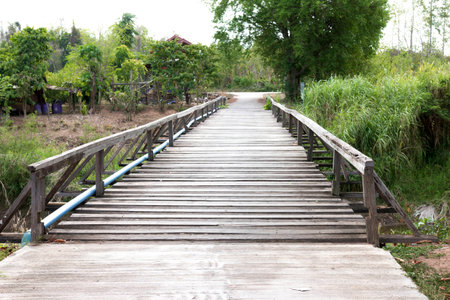 wood bridgeの写真素材