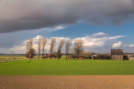 Extensive landscape with village and trees in the windの写真素材