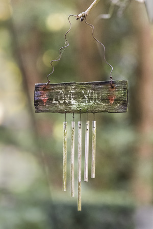 Greyhound followersの写真素材