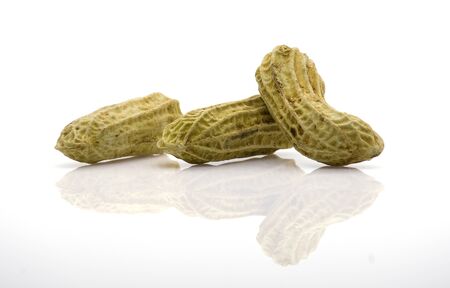 boil nut on white background with clipping pathの写真素材