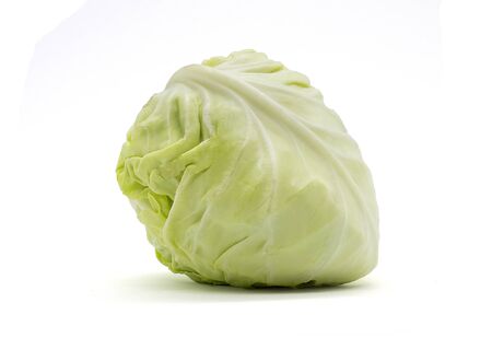 cabbage isolated on white background with clipping pathの写真素材