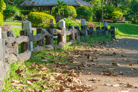 Old wooden fences
in the parkの写真素材