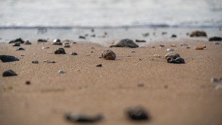 Low angle shot of rocks on a beach by the sea, shallow depth of field.の写真素材