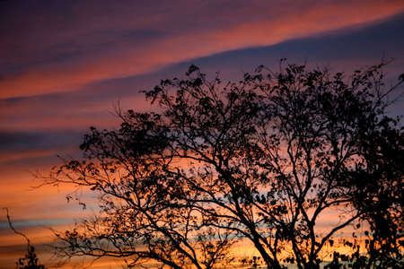 In The View Finder Focus on the Sky at sunset, The Impression of colour and reflection by Sky and Pool の写真素材