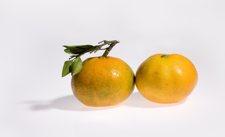 Two Oranges Lay down on Isolate Background  Itの写真素材