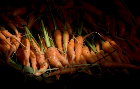 Many Carrot Lay in Cookies Lighting Frame Fade to black Focus at Middle Subject の写真素材