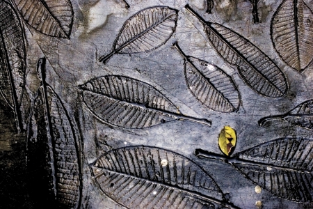 Flagstone with Texture and Detail of Leaf Trail の写真素材