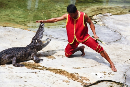 The Crocodile Show in Animal Farm,The Man fight against Crocodile one by one.のeditorial素材
