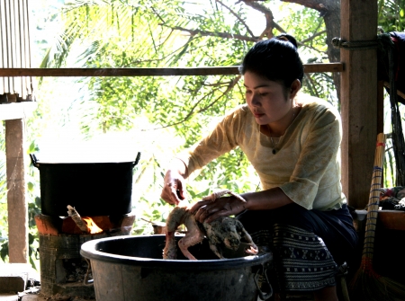Lao People in action Life Style,simple,nice, and easilyà¹のeditorial素材
