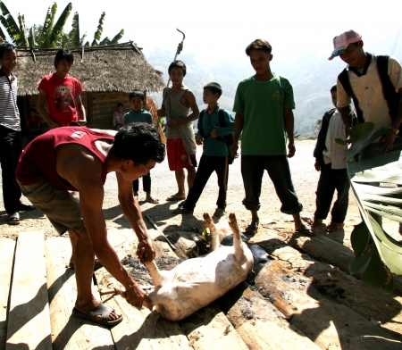 Lao People in action Life Style,simple,nice, and easilyà¹のeditorial素材