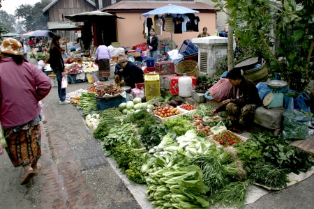 People In Lao Market sell and buy Fruit, Vegetable, Meat from The Farm and Wild Animalのeditorial素材
