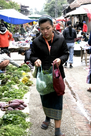 People In Lao Market sell and buy Fruit, Vegetable, Meat from The Farm and Wild Animalのeditorial素材