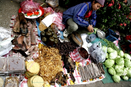 People In Lao Market sell and buy Fruit, Vegetable, Meat from The Farm and Wild Animalのeditorial素材