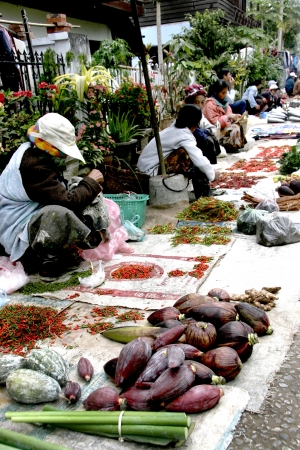 People In Lao Market sell and buy Fruit, Vegetable, Meat from The Farm and Wild Animalのeditorial素材