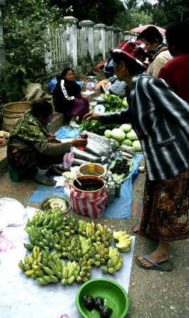 People In Lao Market sell and buy Fruit, Vegetable, Meat from The Farm and Wild Animalのeditorial素材