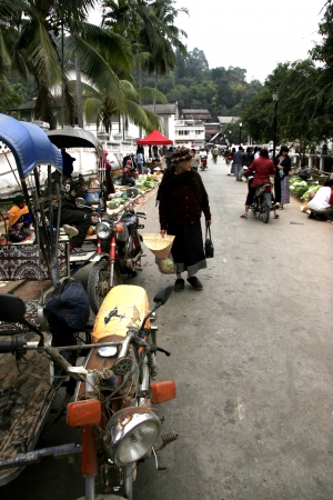 People In Lao Market sell and buy Fruit, Vegetable, Meat from The Farm and Wild Animalのeditorial素材