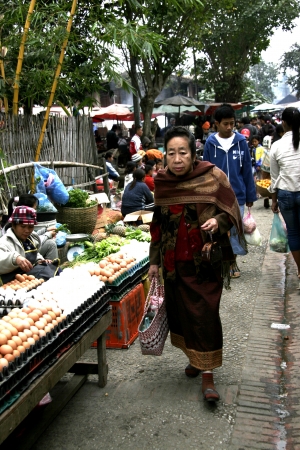 People In Lao Market sell and buy Fruit, Vegetable, Meat from The Farm and Wild Animalのeditorial素材