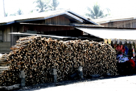 THe Viilage,Town,House and People in Lao Life Styleのeditorial素材