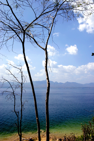 Sea and Blue Sky with white Cloud in Wide Frame.Silhouette Tree at foreground.Mountain at faraway.の写真素材
