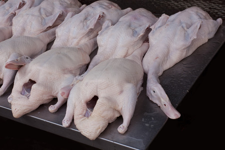 Fresh duck lay on table prepare to make Honey Roast Duck.の写真素材