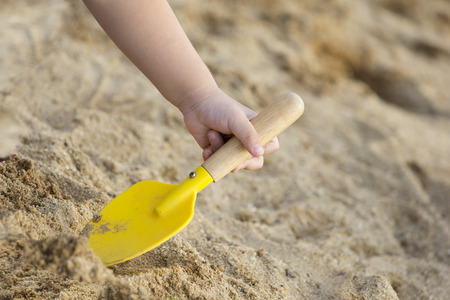 child scoop the sand with spade .crop only hand and spade.の写真素材