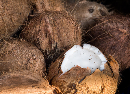 Pile of peel coconut. One coconut show inside,white coconut meat.の写真素材