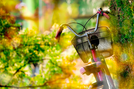 Bicycle under shade trees in Park.Foreground and background blur by out of focus.Warm tone shot with sun shine at early morning.の写真素材