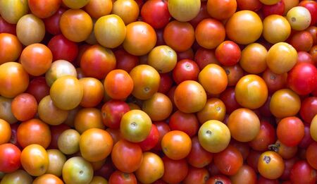 Pile of fresh tomatoes fit in frame, Top view shot.の写真素材