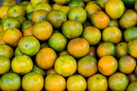 Pile of green orange.Full in frame shot.close up shot.