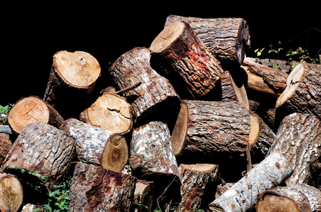 Stack of firewood lay on ground. Black background.