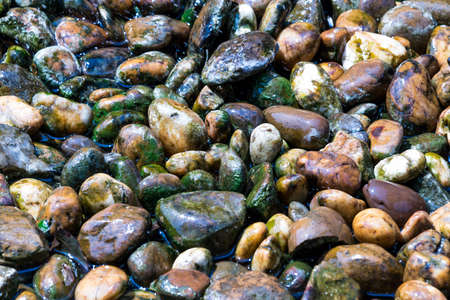 Smooth stones with moss by the  canal, wet from waterfall.の写真素材