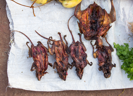 Wild food  at local market.usually every day life food in Laos.の写真素材