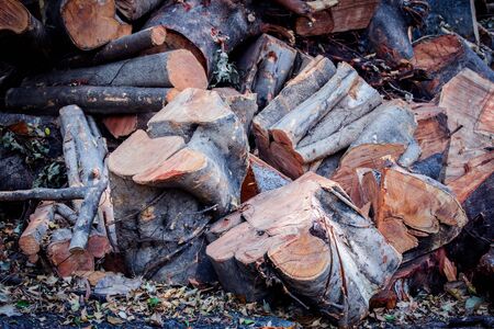 Firewood log for make charcoal,Causes greenhouse effect While the world coming to think earth.